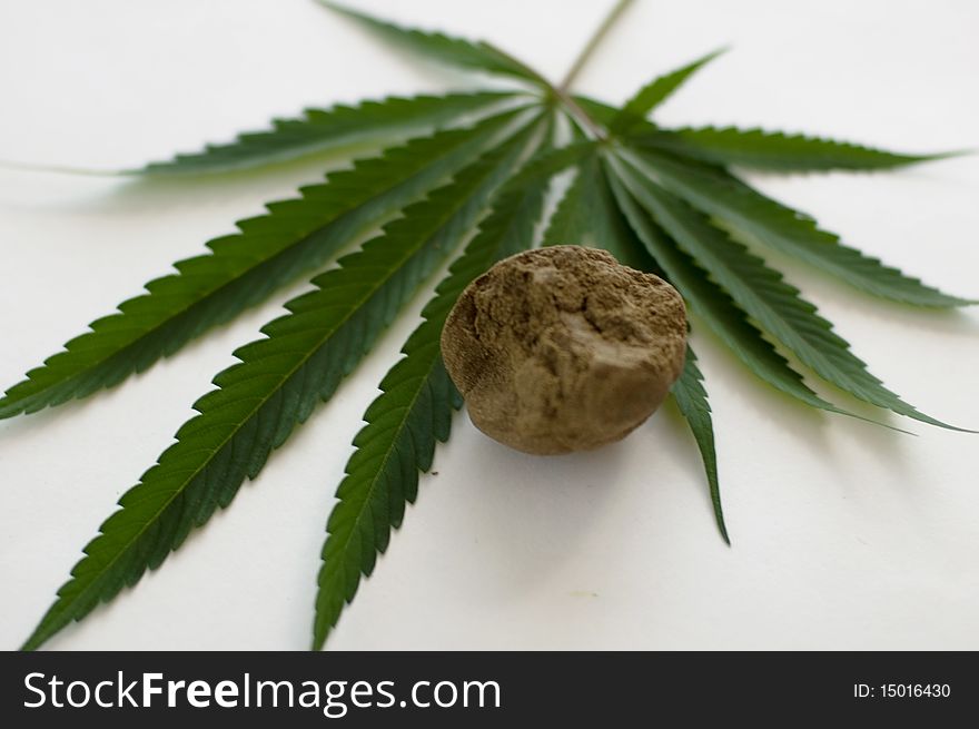 Cannabis plant for alternative medicine