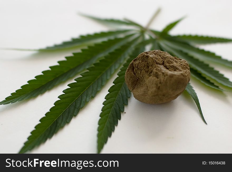 Cannabis plant for alternative medicine