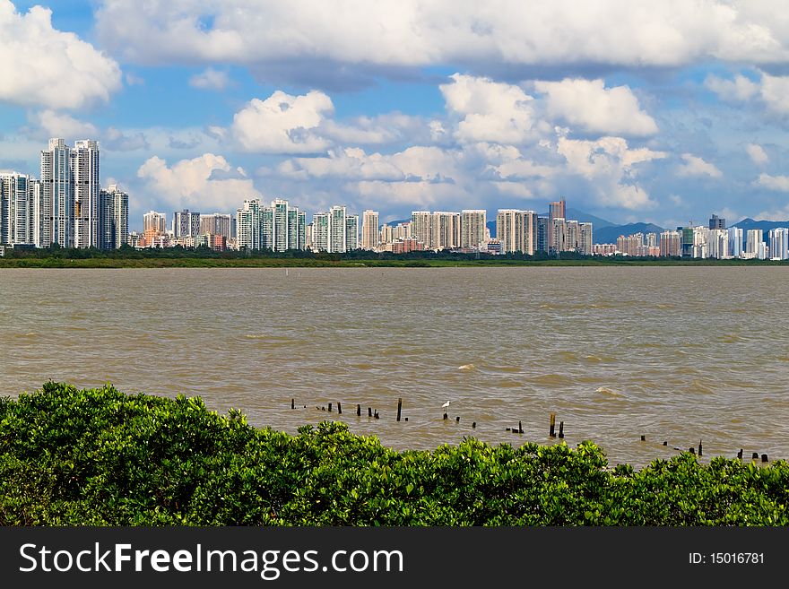 Mangrove nature reserve, located in China guangdong province shenzhen