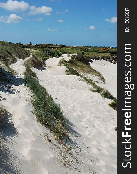 Dune with marram grass