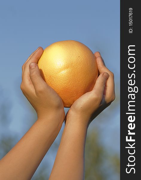 Grapefruit in a children's hand on a background of the dark blue sky