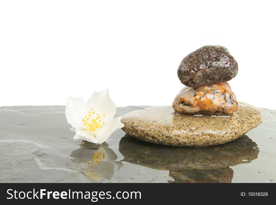 Pile of wet pebbles and a white flower on slate. Pile of wet pebbles and a white flower on slate