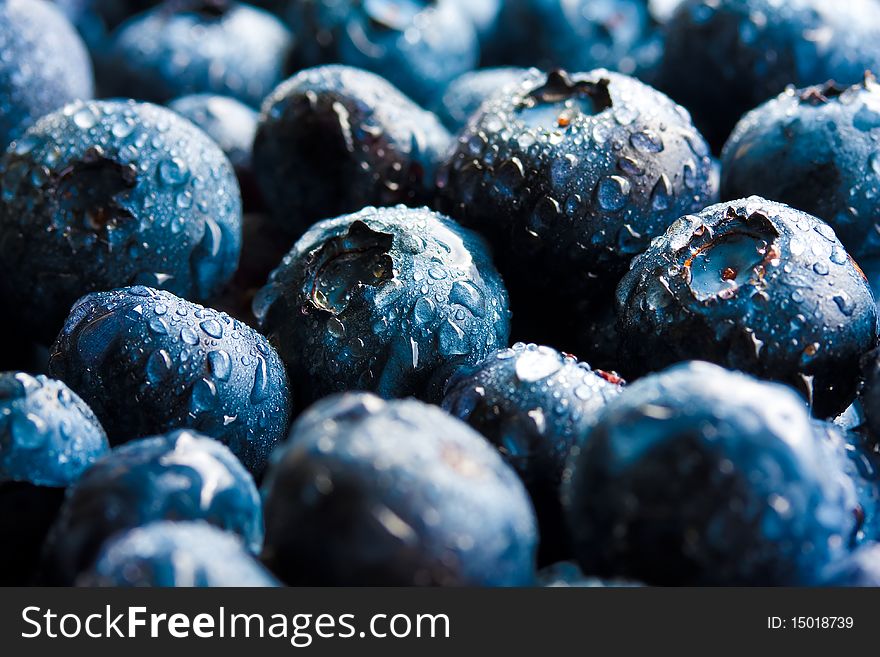 Close up on some blueberries.