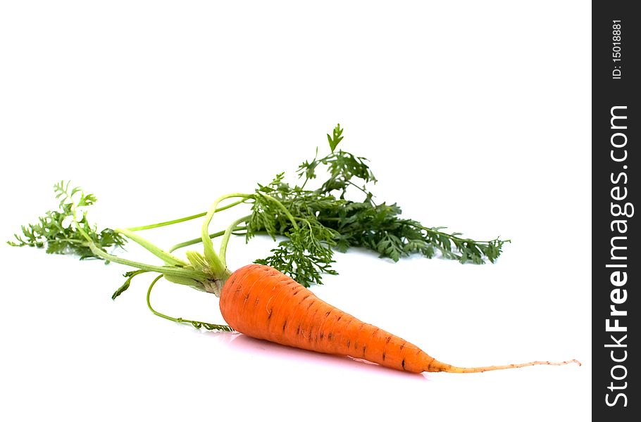 Carrots With The Leaves