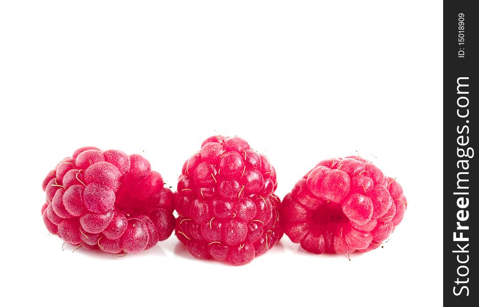 Red raspberry on white background