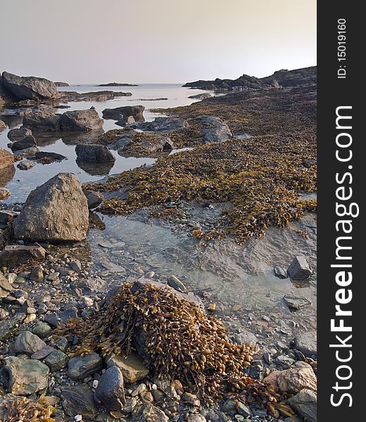 Anglesey coast rockpool North Wales. Anglesey coast rockpool North Wales