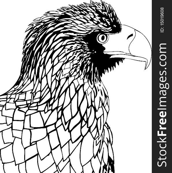 Vector drawing of an eagle, black and white