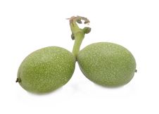 Walnuts Royalty Free Stock Photography Walnuts Royalty Free Stock Photography
