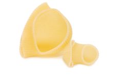 Detail Of Macaroni Pasta Stock Image Detail Of Macaroni Pasta Stock Image