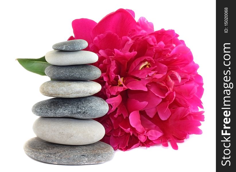 Pink peony and stones, isolated on white