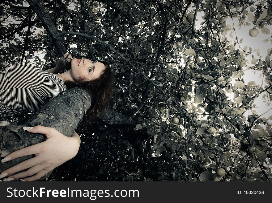 Young redhead woman laying at apple tree branch. Young redhead woman laying at apple tree branch