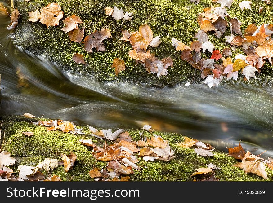 Autumn Leaves and Mossy rocks with detail of waterfall. Autumn Leaves and Mossy rocks with detail of waterfall