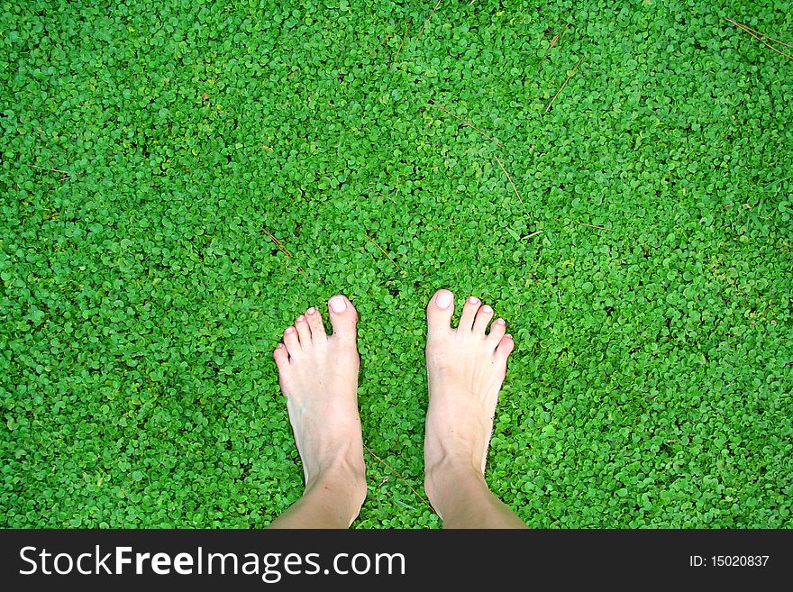 Female foot on green grass. Female foot on green grass