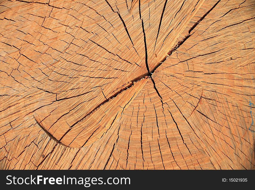 Wood texture in brown. It is possible to use as background.