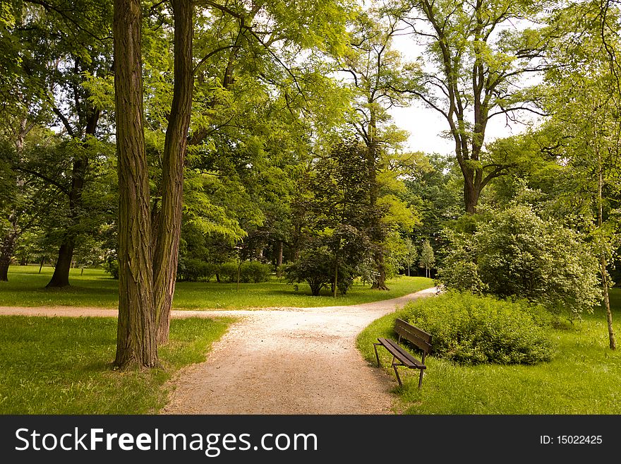 Park in spring time on a sunny day