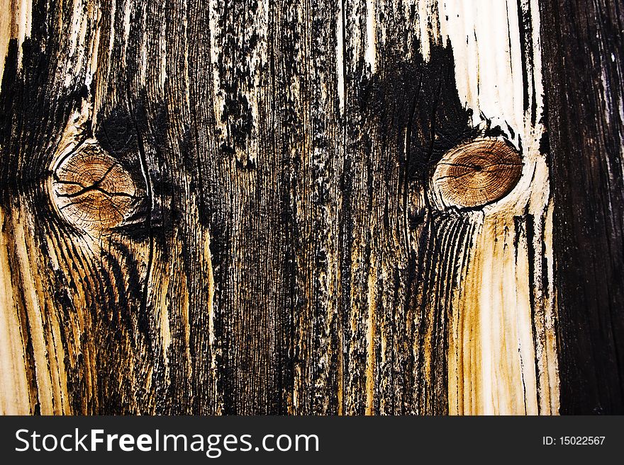 Closeup on a wood. Wood texture