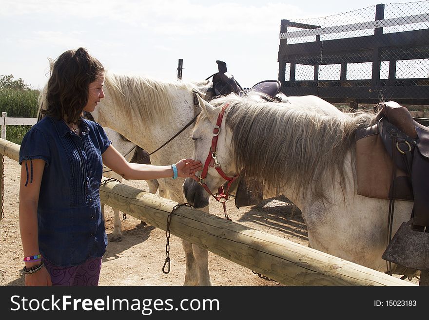 Girl petting a white horse. Girl petting a white horse