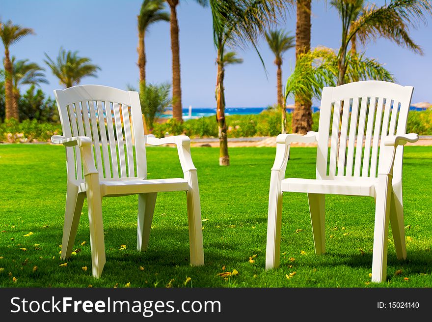 White beach chairs on the grass under palm near the beach. Tropical Resort in Egypt. White beach chairs on the grass under palm near the beach. Tropical Resort in Egypt.
