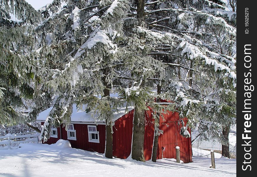 Snowcovered horse barn nestled in the trees. Snowcovered horse barn nestled in the trees