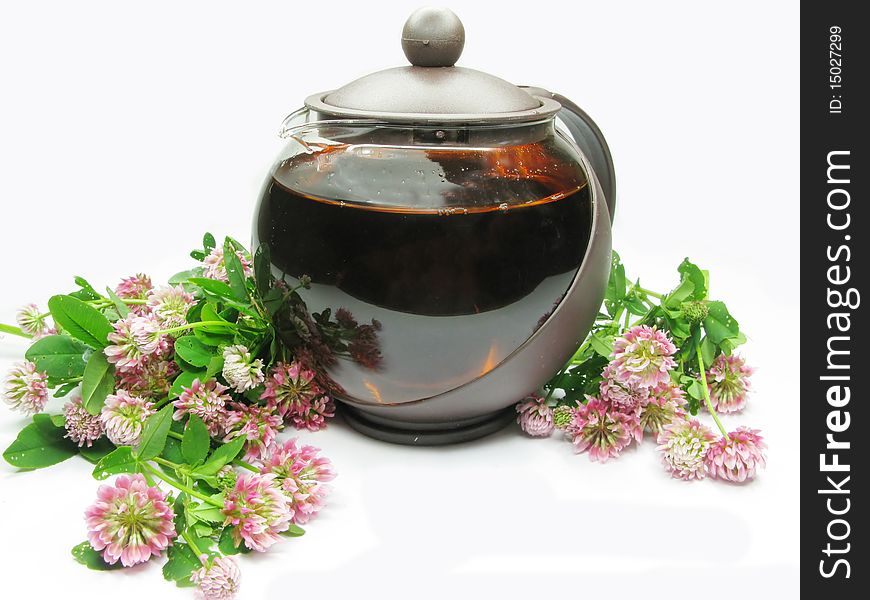 Herbal tea with clover in teapot. Herbal tea with clover in teapot