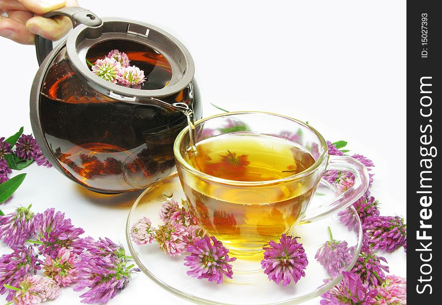 Pouring floral clover tea into cup. Pouring floral clover tea into cup