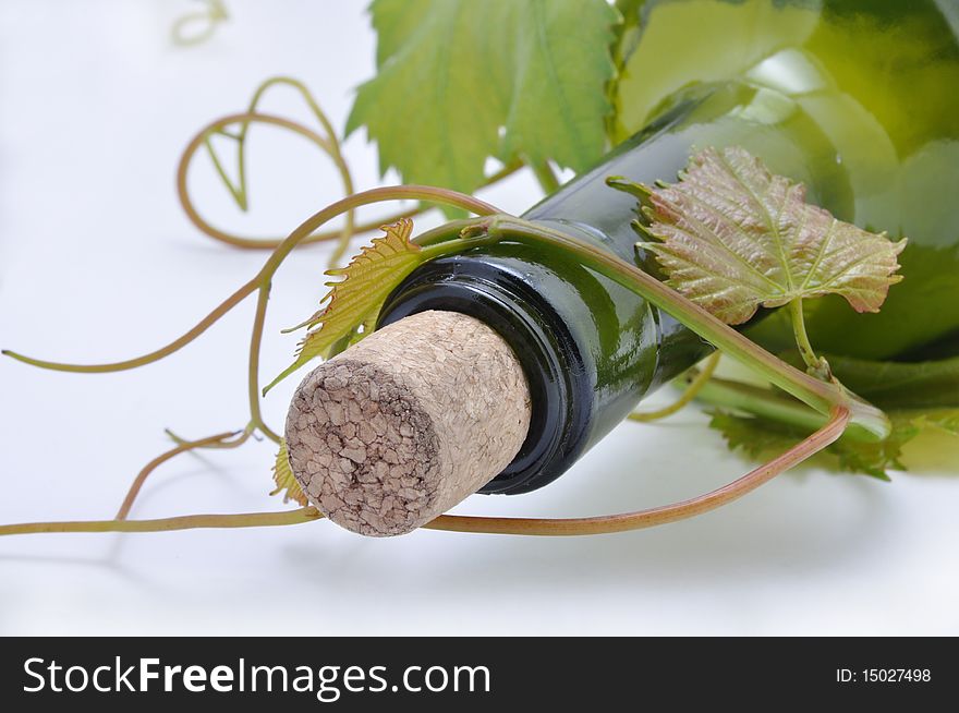 Picture of grape-vine and bottle for wine