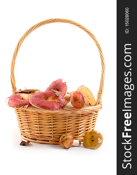 Mushrooms in a basket isolated on a white background