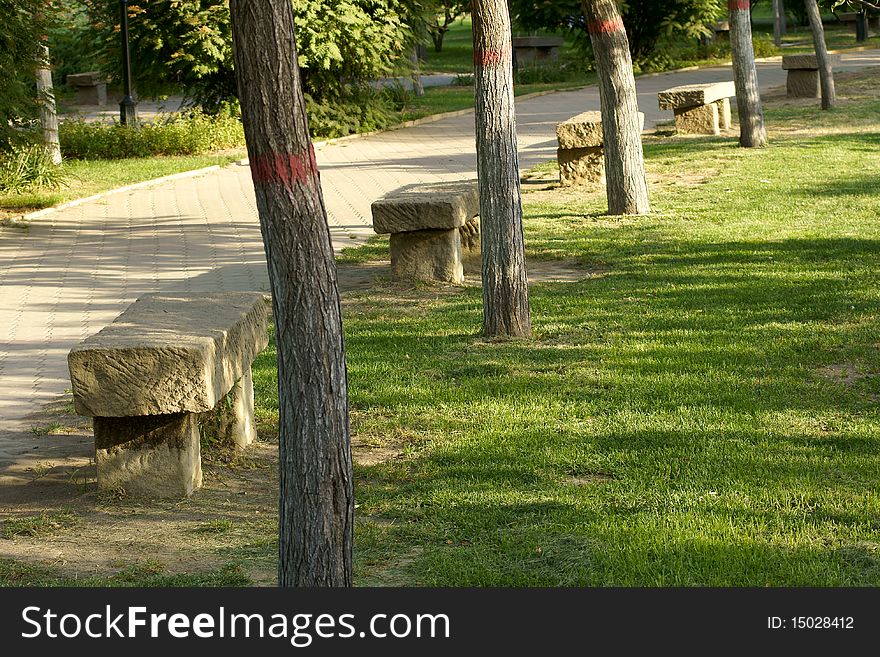 Summer scenery in the park