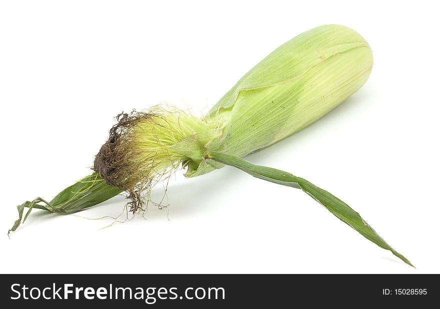 Ripe corn on a white background