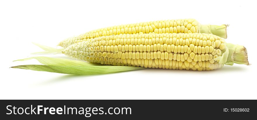 Ripe corn on a white background