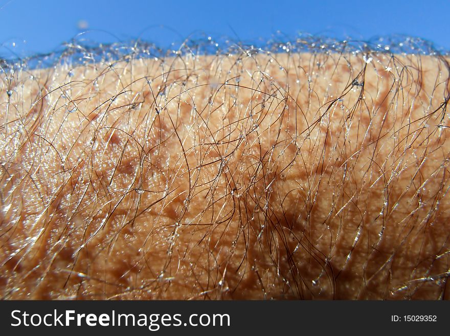 Raindrops on skin. closeup from an arm. raindrops on hair.