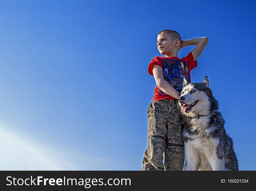 Boy with Siberian husky dog on blue sky background. Walk with husky dog.