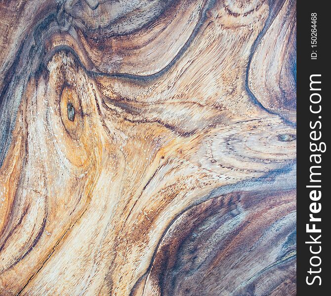 walnut wood texture background in macro lens shoot