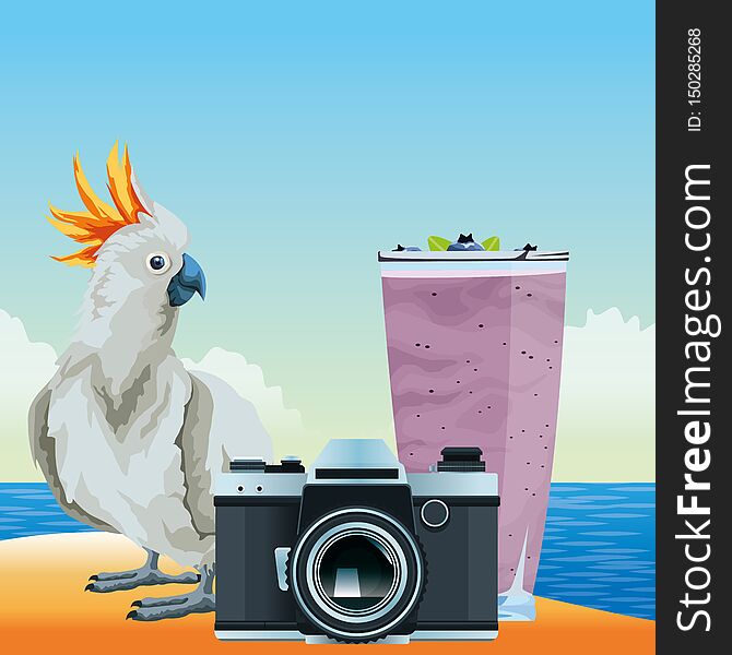 Summer beach and vacation with photographic camera, cockatoo and smoothie drink icon cartoon over the beach with seascape vector illustration graphic design. Summer beach and vacation with photographic camera, cockatoo and smoothie drink icon cartoon over the beach with seascape vector illustration graphic design