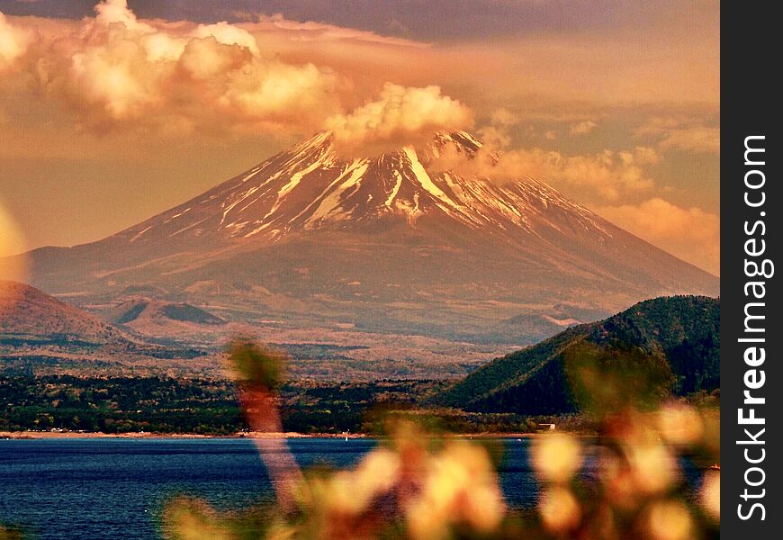 Mt. Fuji, famous japanese landmark with flowers