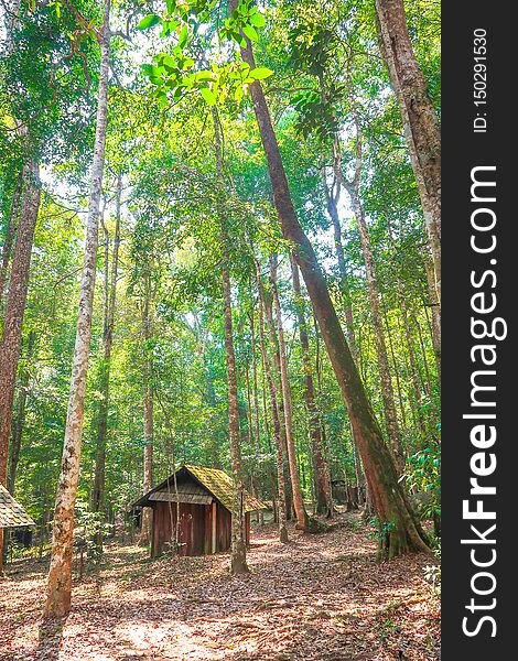 Political and Military School in the forest, Phu Hin Rong Kla, Phitsanulok, Thailand. Political and Military School in the forest, Phu Hin Rong Kla, Phitsanulok, Thailand