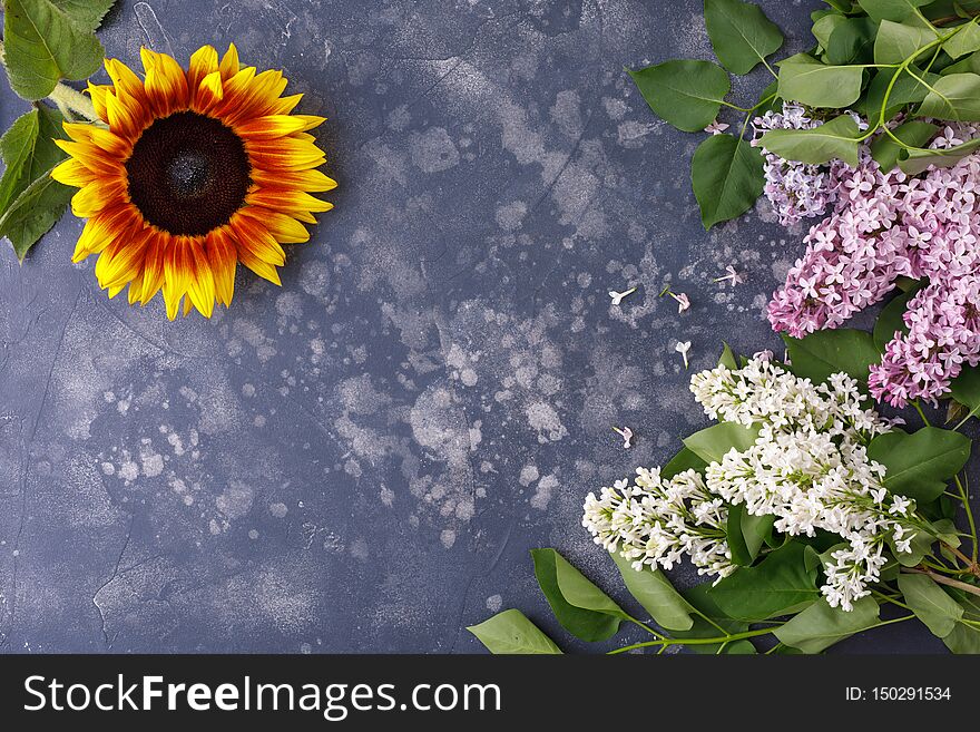 Beautiful, Yellow Sunflower And Lilac On A Black Background, Top View, Close-up. Frame Of Flowers. An Interesting, Unusual And