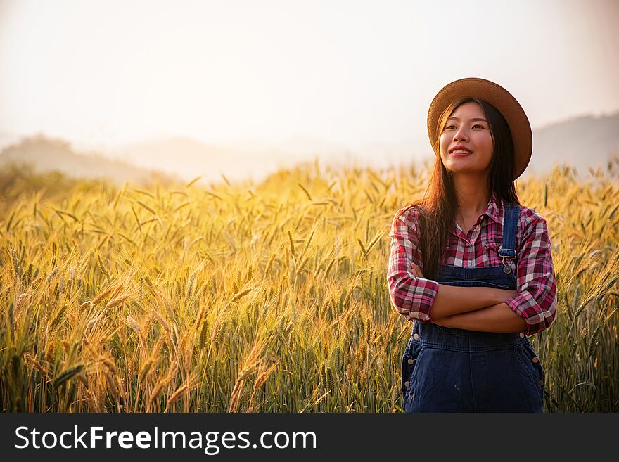 Farmer in ripe wheat field planning harvest activity, female agronomist looking at sunset on the horizon