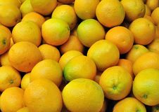 Oranges Royalty Free Stock Photography