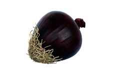 Red Onion Stock Images Red Onion Stock Images