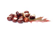 Nice Autumn Leaves And Chestnuts On A White. Stock Photos