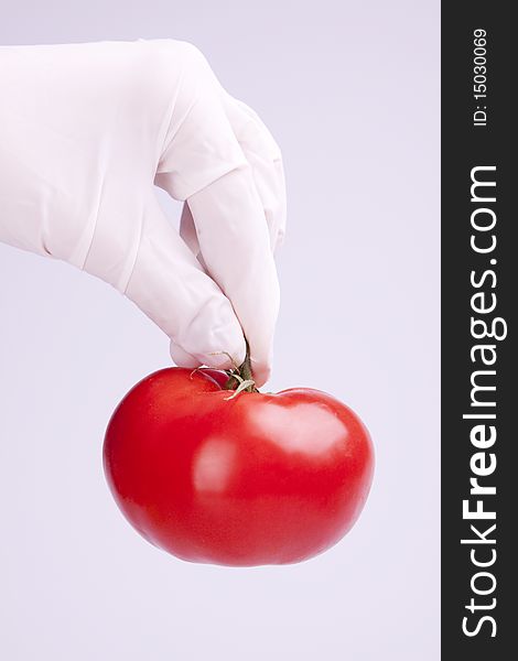 Scientist holding tomato