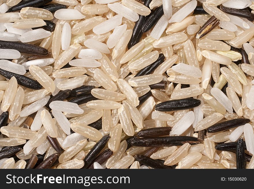 Macro of three kinds of rice.