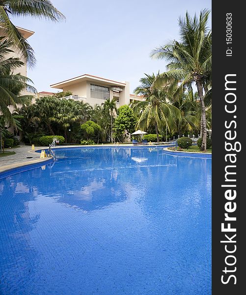 Tropical swimming pool with coconut palm trees by the poolside.