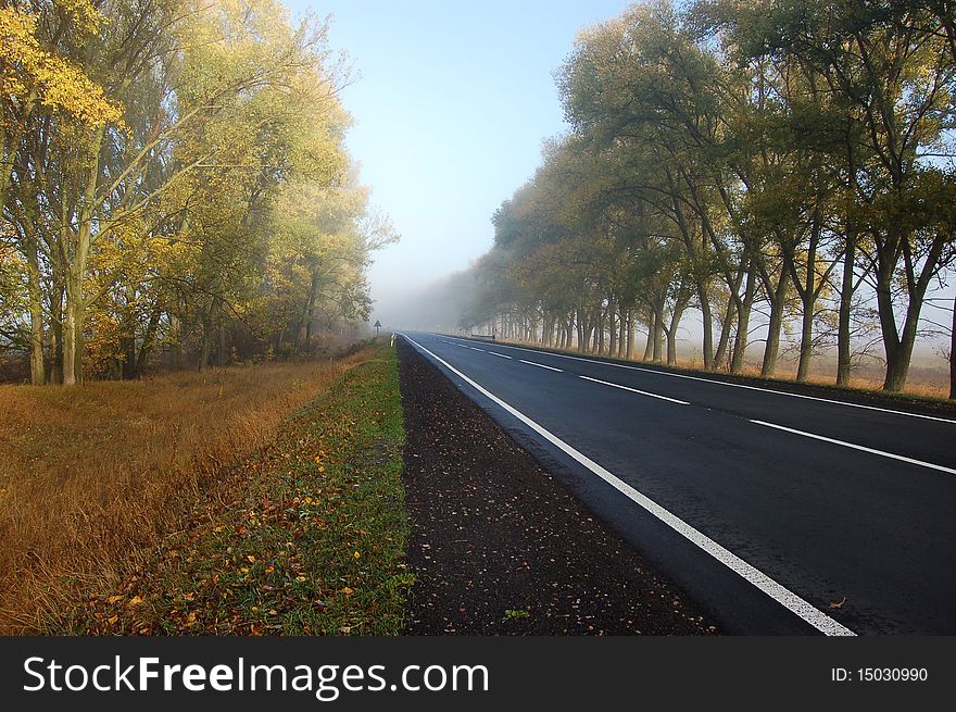 Road in autumn, on each side turning yellow trees. Road in autumn, on each side turning yellow trees