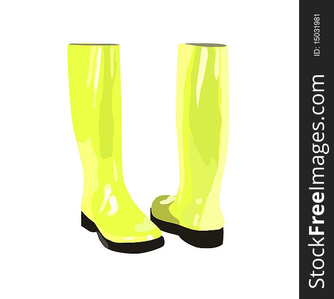 Light green rubber boots in the vector on white background. Light green rubber boots in the vector on white background