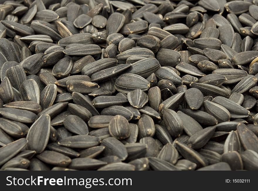 Unhulled sunflower seeds as a background