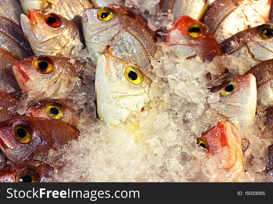Coral Fishes over ice in a supermarket