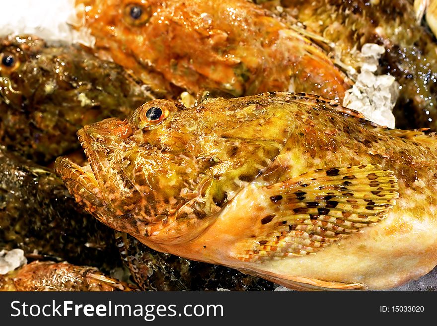 Scorpion fishes over ice in a supermarket