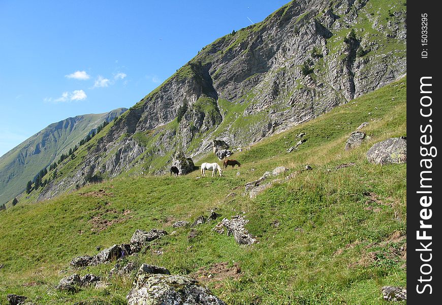 Site of the collar of neck, Swiss French border, in the department of high Savoy, France. Site of the collar of neck, Swiss French border, in the department of high Savoy, France